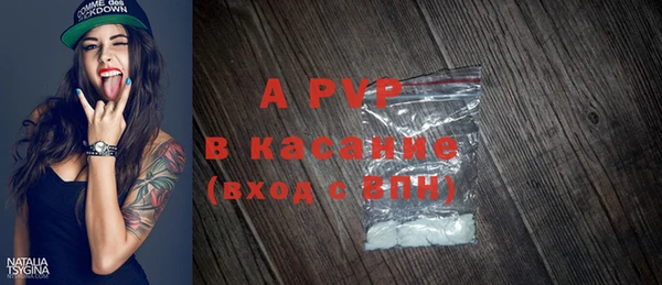 PSILOCYBIN Аркадак